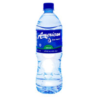Water (500 ml)